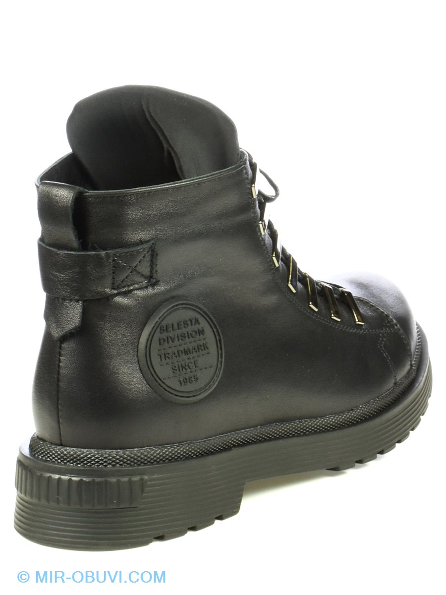 Ƴ���� ����� ����������� �������� Selesta. ��� 2.