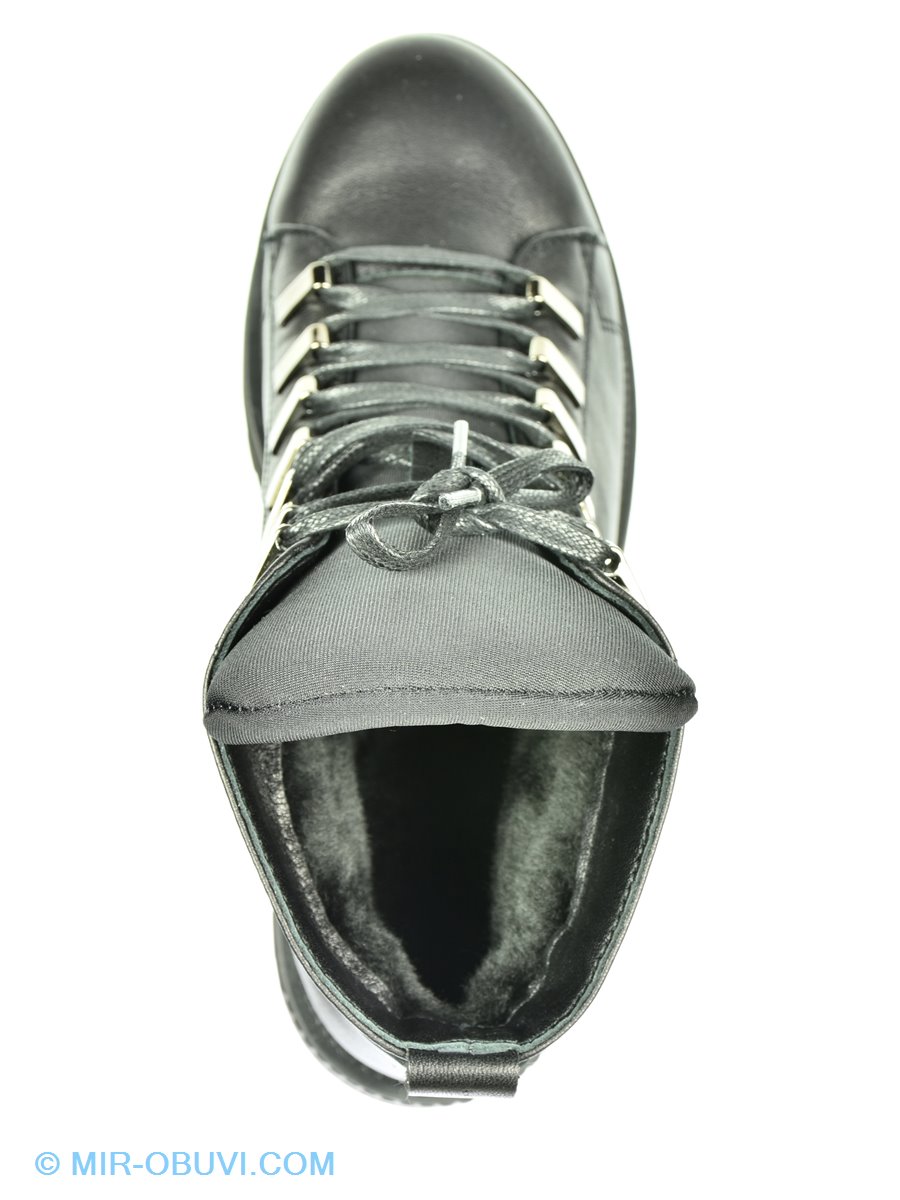 Ƴ���� ����� ����������� �������� Selesta. ��� 6.