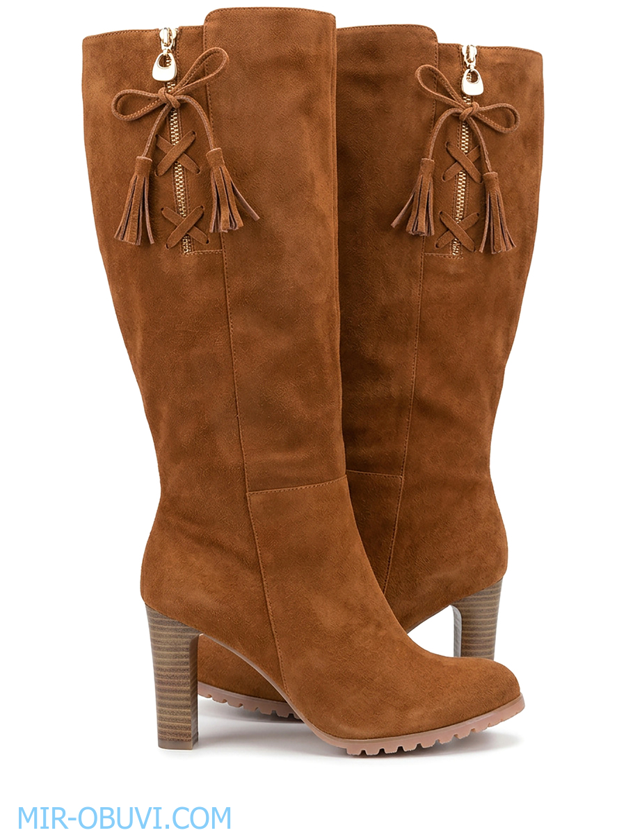 Ƴ���� ����� ������ Vivier Polino. ��� 4.