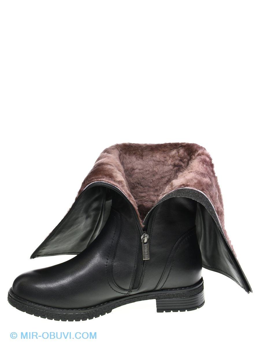 Ƴ���� ����� ������ Baden. ��� 6.