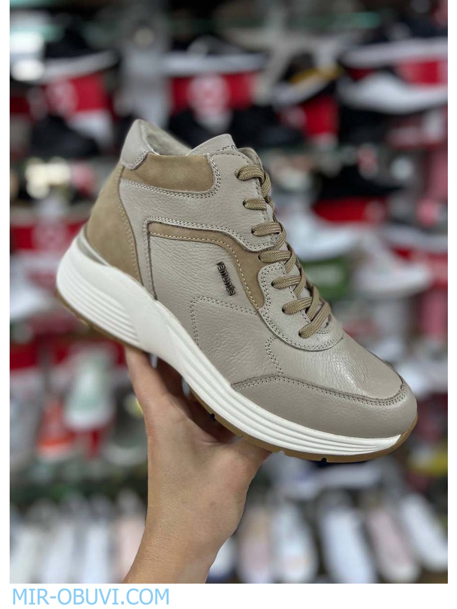 Ƴ���� ����� ��������� �������� Remonte. ��� 15.