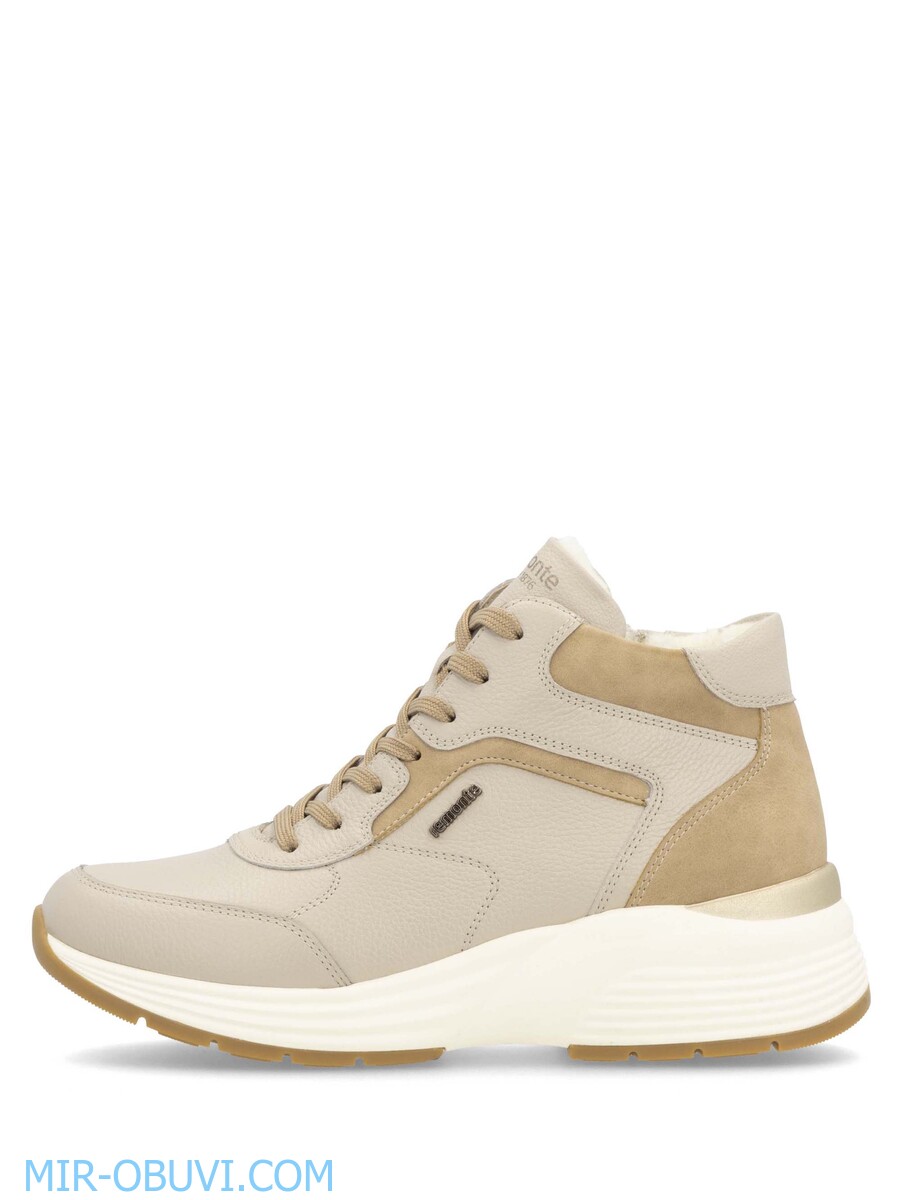 Ƴ���� ����� ��������� �������� Remonte. ��� 8.