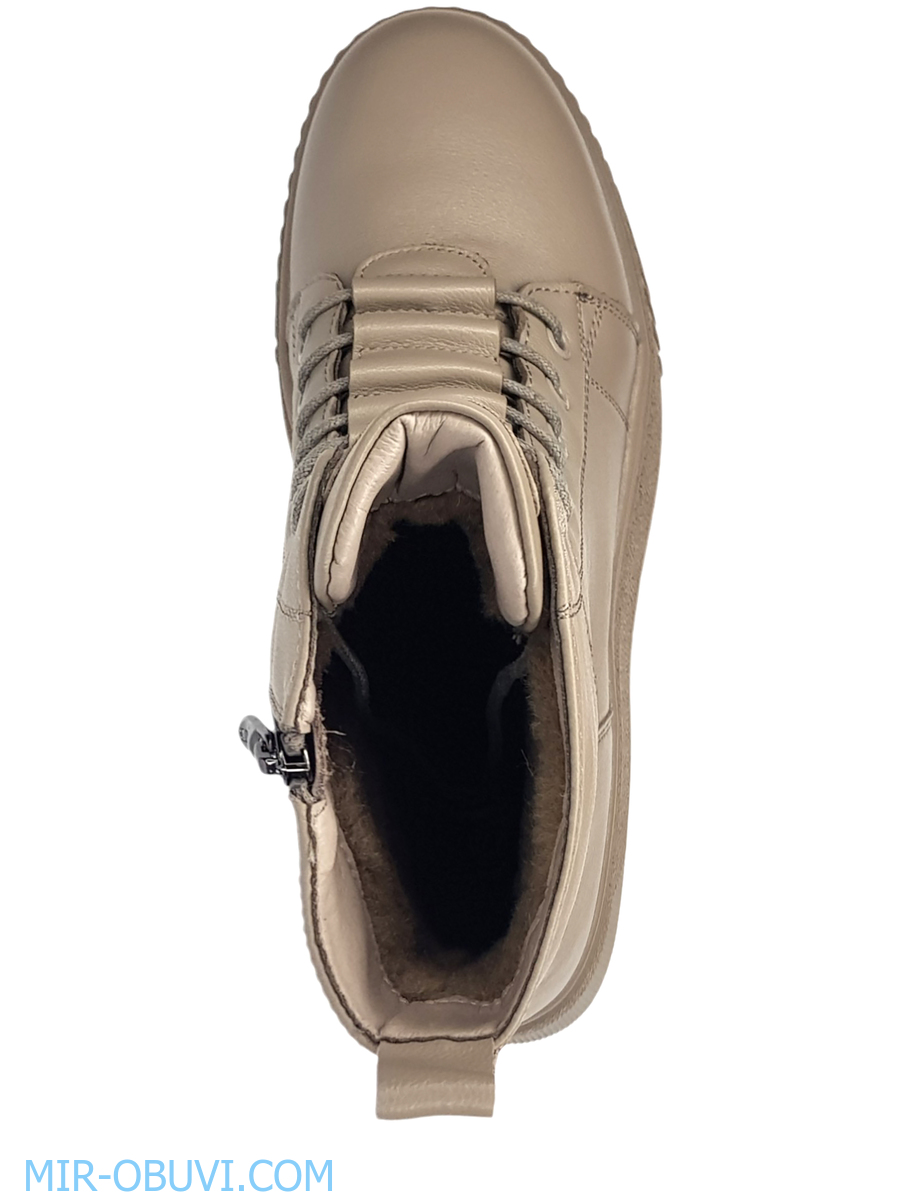 Ƴ���� ����� ����������� �������� Spur. ��� 6.