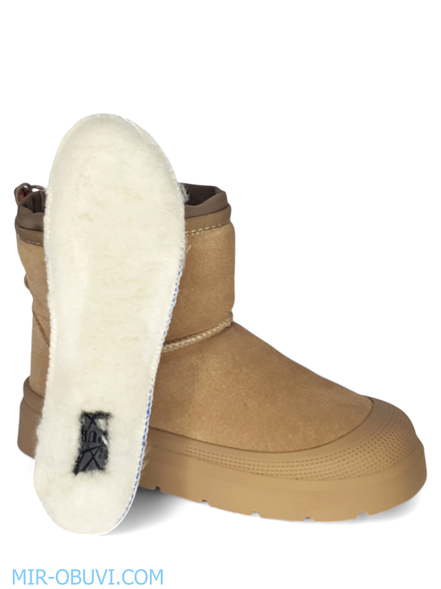 Ƴ���� ����� ��� Spur. ��� 13.