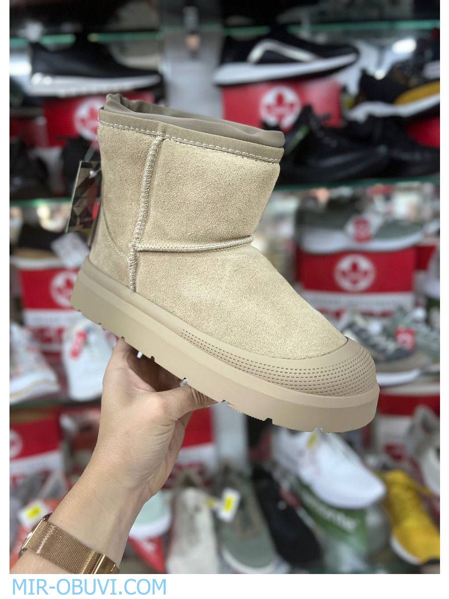 Ƴ���� ����� ��� Spur. ��� 17.