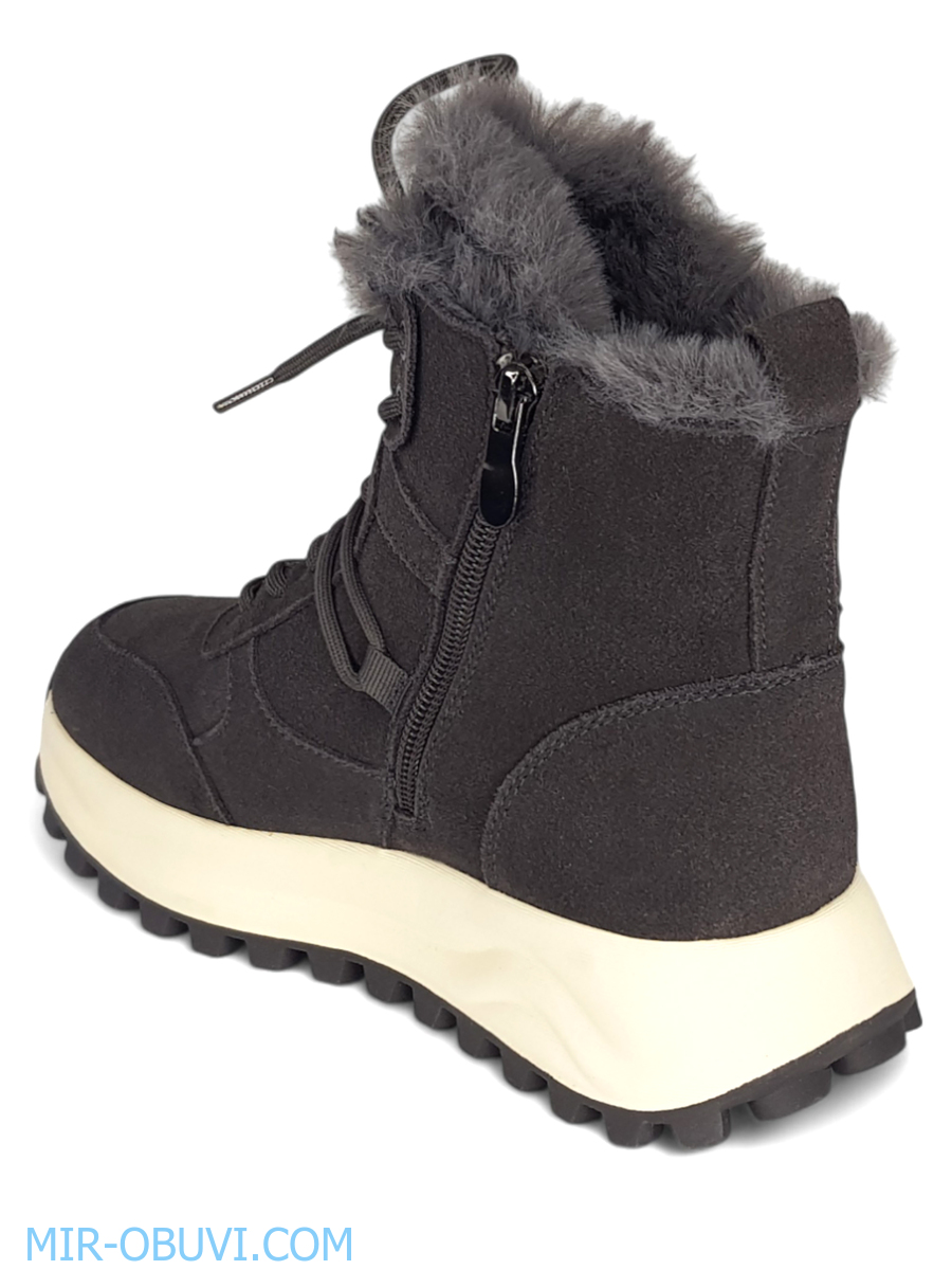 Ƴ���� ����� ��������� �������� Wollen. ��� 11.