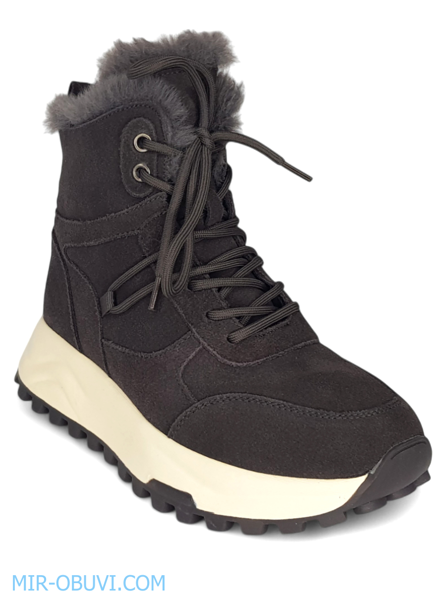 Ƴ���� ����� ��������� �������� Wollen. ��� 12.