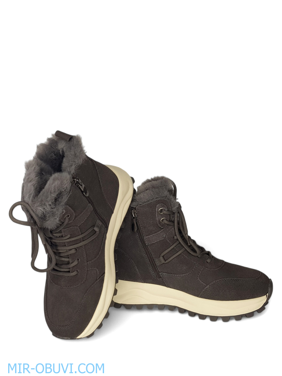 Ƴ���� ����� ��������� �������� Wollen. ��� 13.