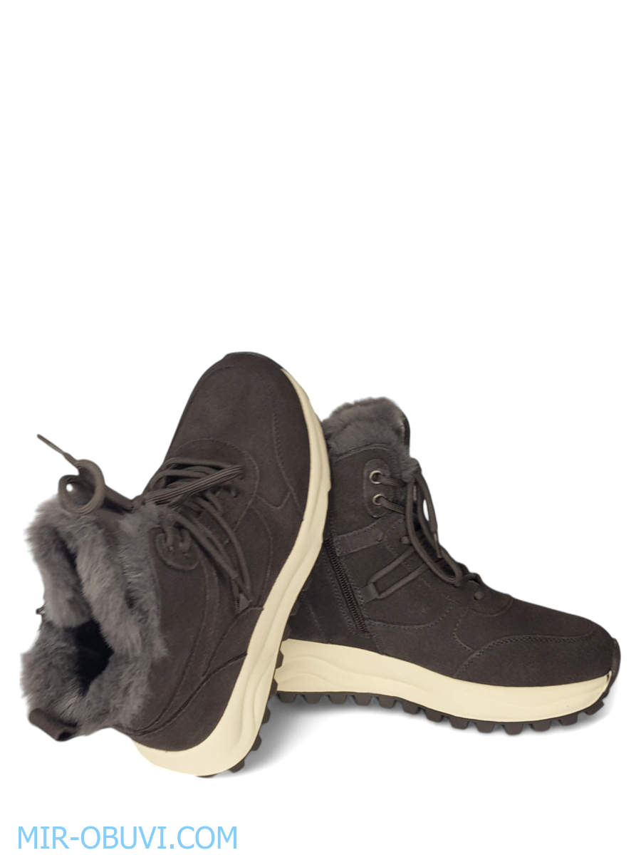 Ƴ���� ����� ��������� �������� Wollen. ��� 14.