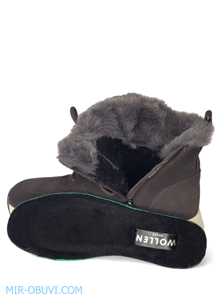 Ƴ���� ����� ��������� �������� Wollen. ��� 15.