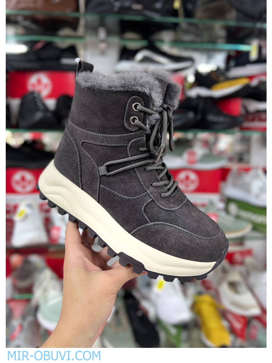 Ƴ���� ����� ��������� �������� Wollen. ��� 19.