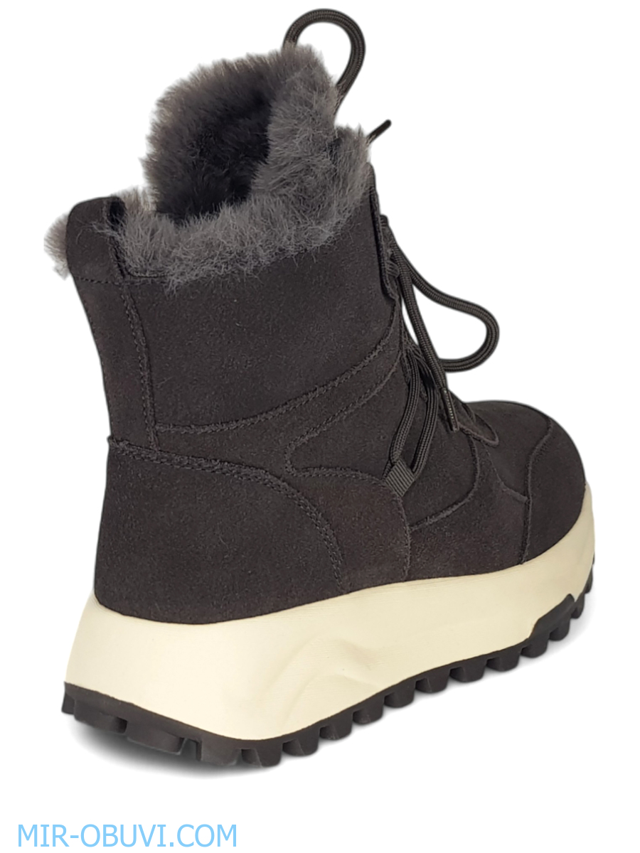 Ƴ���� ����� ��������� �������� Wollen. ��� 2.