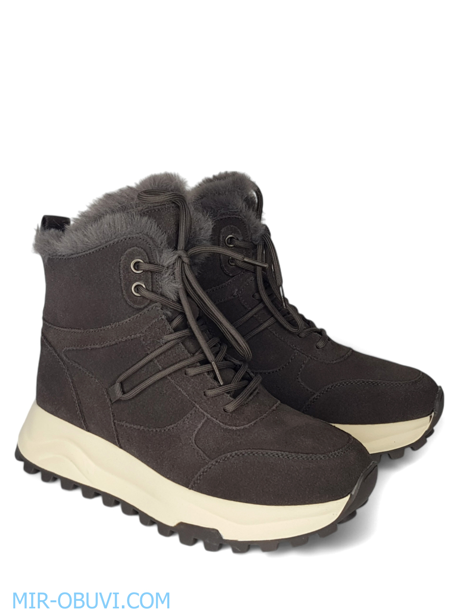 Ƴ���� ����� ��������� �������� Wollen. ��� 4.