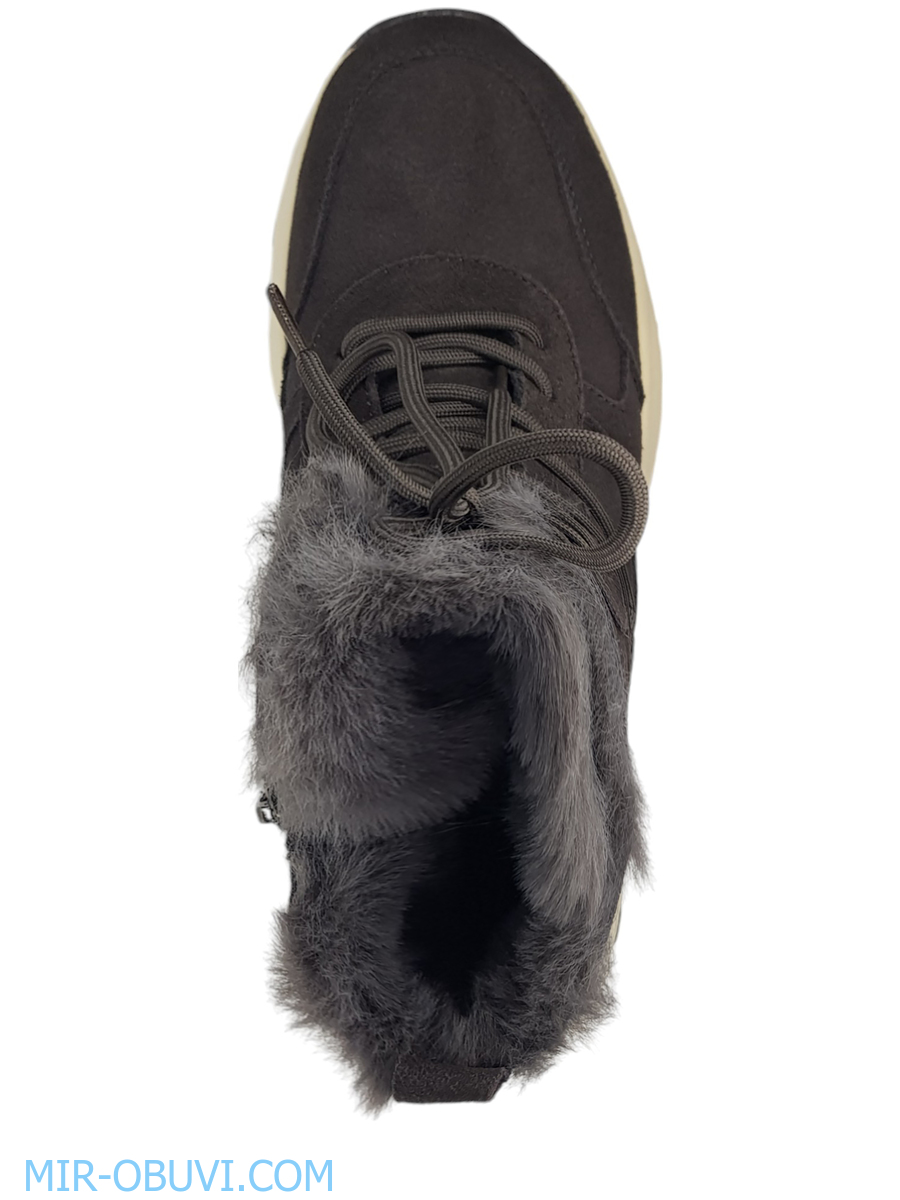 Ƴ���� ����� ��������� �������� Wollen. ��� 6.