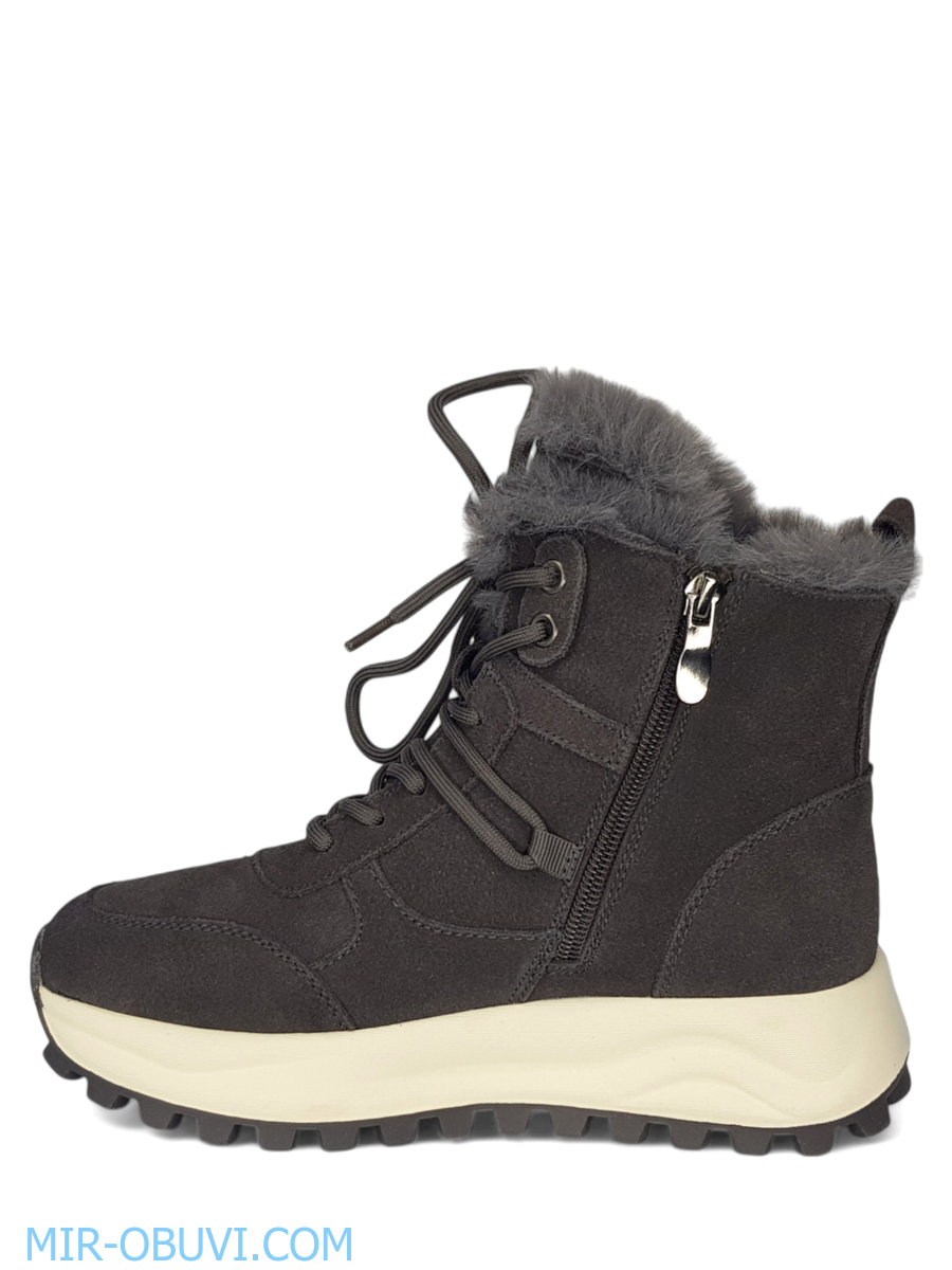 Ƴ���� ����� ��������� �������� Wollen. ��� 8.