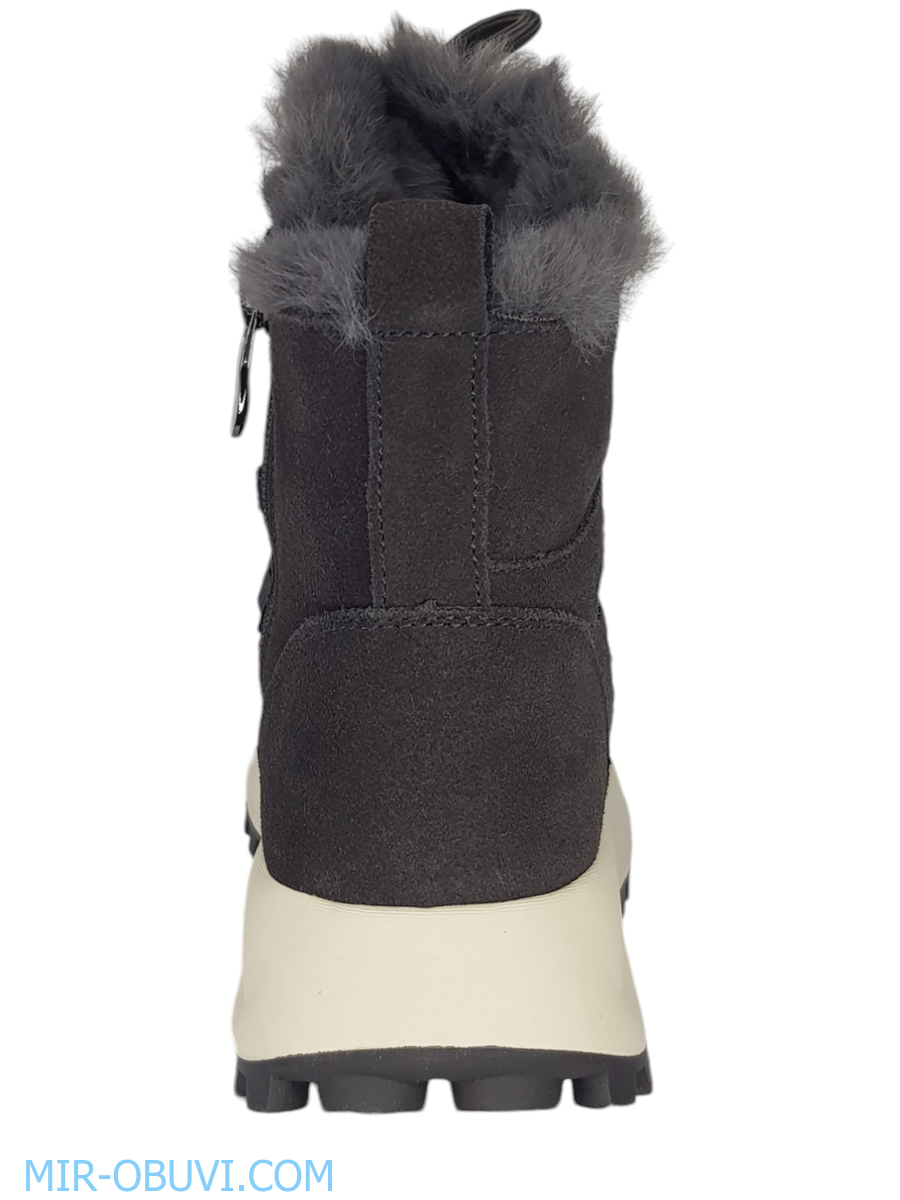 Ƴ���� ����� ��������� �������� Wollen. ��� 10.