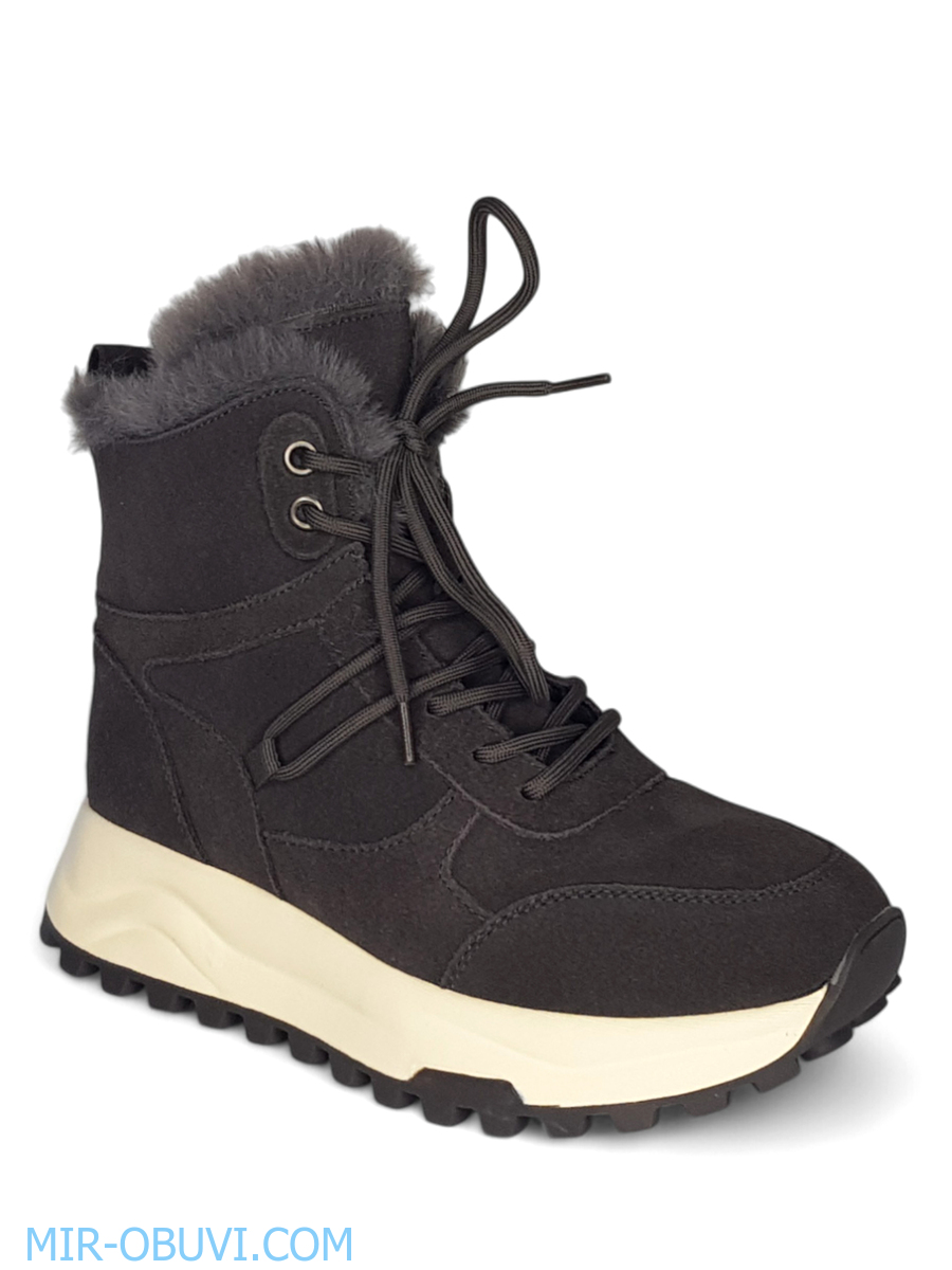 Ƴ���� ����� ��������� �������� Wollen. ��� 1.