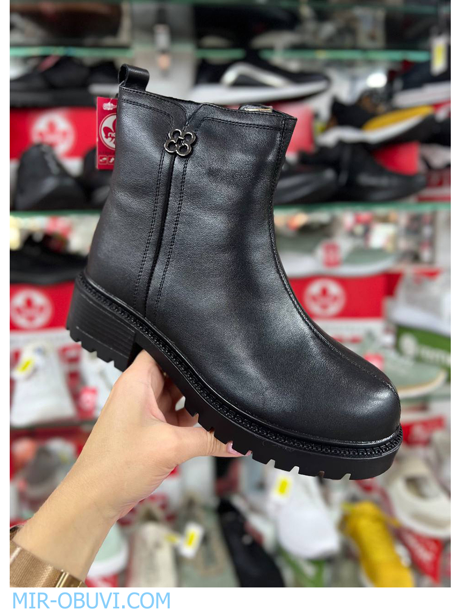 Ƴ���� ����� ���������� Spur. ��� 17.