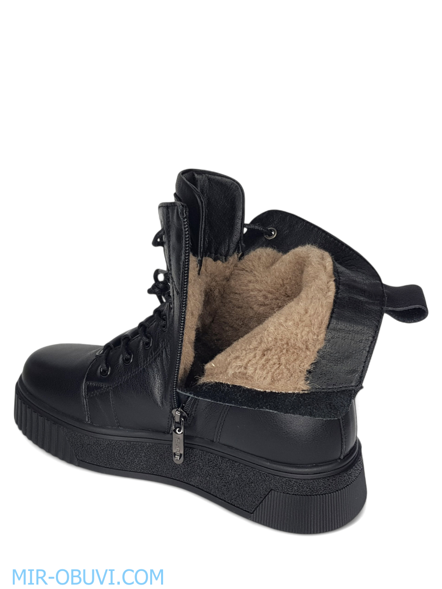 Ƴ���� ����� ����������� �������� Wollen. ��� 13.