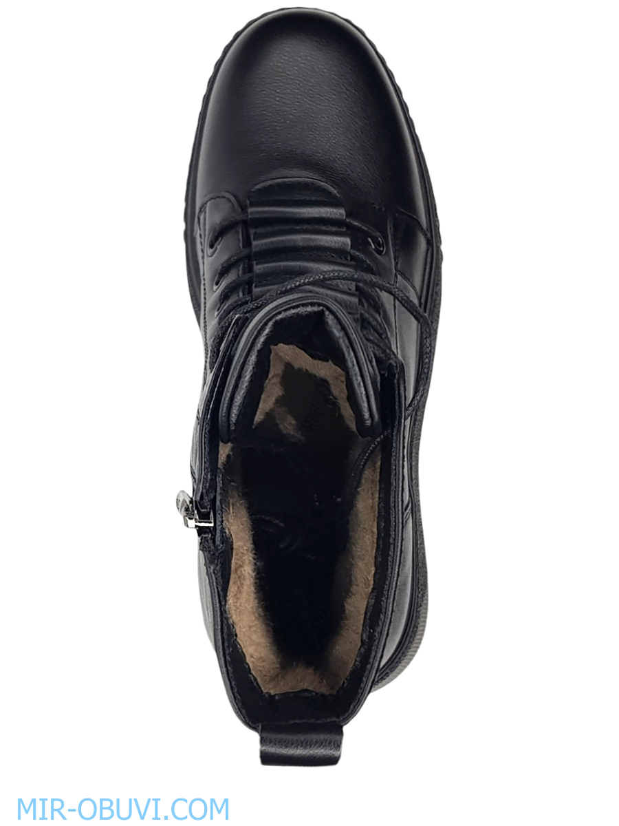 Ƴ���� ����� ����������� �������� Wollen. ��� 6.