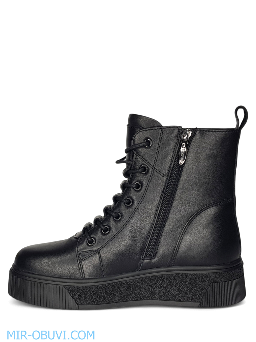 Ƴ���� ����� ����������� �������� Wollen. ��� 8.