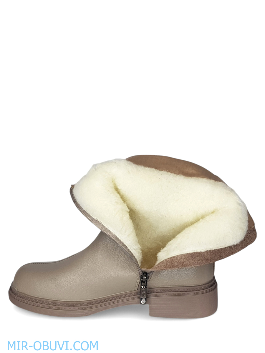 Ƴ���� ����� ���������� Spur. ��� 13.