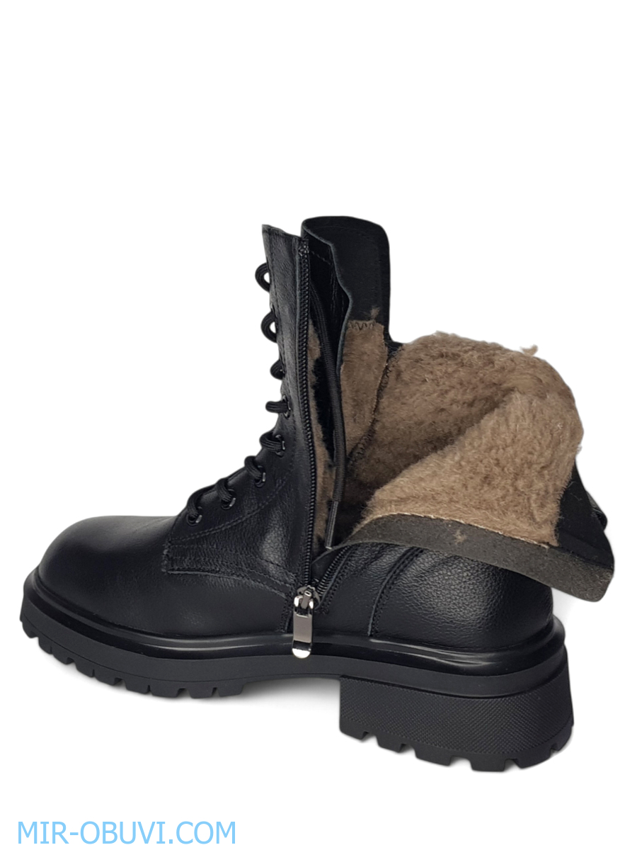 Ƴ���� ����� ����������� �������� Wollen. ��� 13.