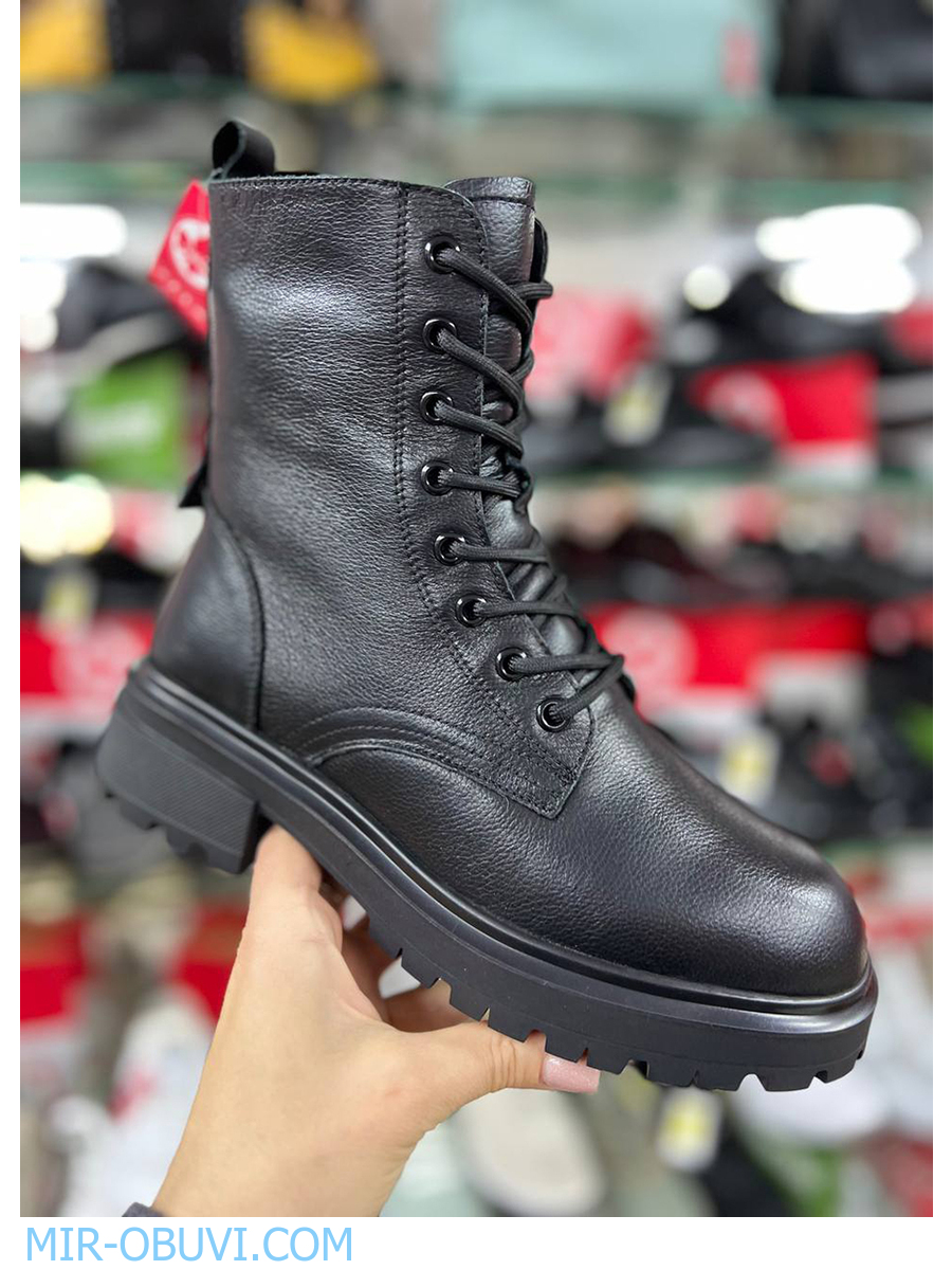 Ƴ���� ����� ����������� �������� Wollen. ��� 17.