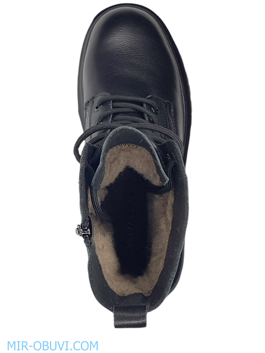 Ƴ���� ����� ����������� �������� Wollen. ��� 6.