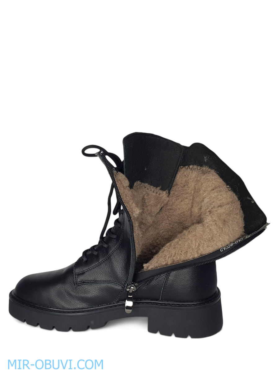 Ƴ���� ����� ����������� �������� Wollen. ��� 13.