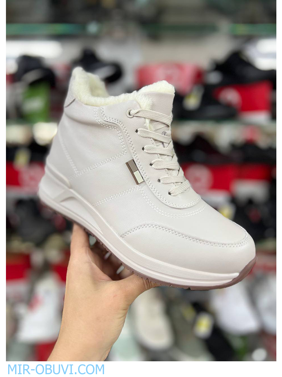 Ƴ���� ����� ��������� �������� Wollen. ��� 17.