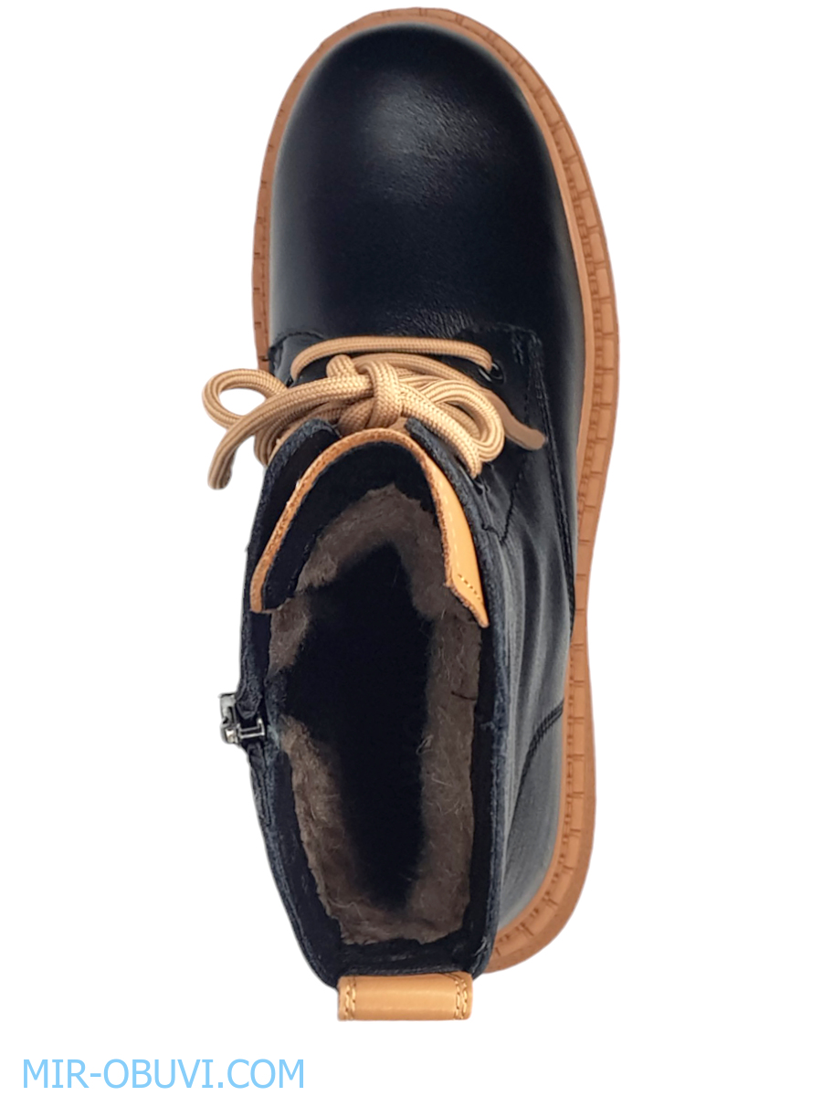 Ƴ���� ����� ����������� �������� Wollen. ��� 6.