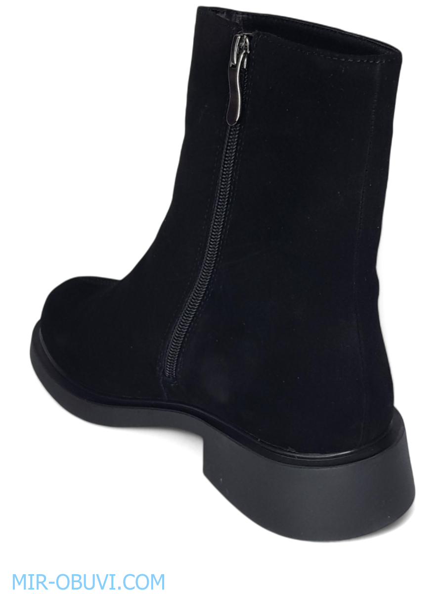 Ƴ���� ����� ���������� Wollen. ��� 11.