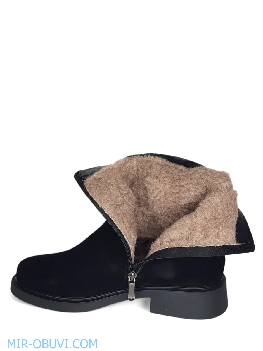 Ƴ���� ����� ���������� Wollen. ��� 13.