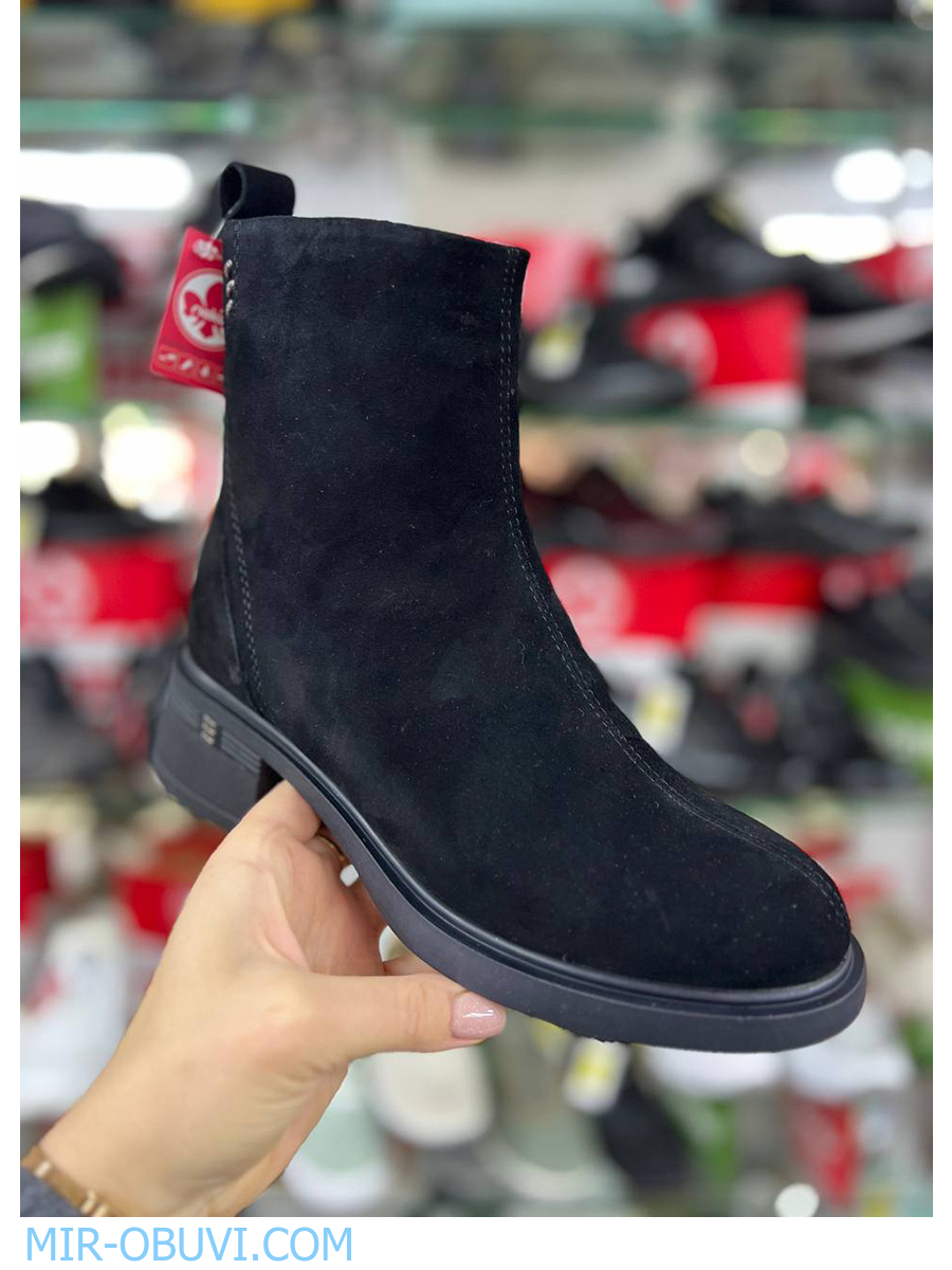 Ƴ���� ����� ���������� Wollen. ��� 17.