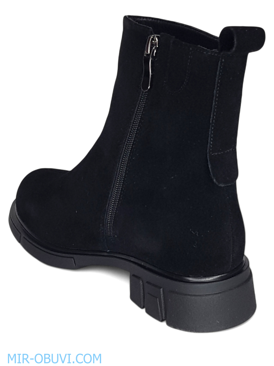 Ƴ���� ����� ���������� Wollen. ��� 11.