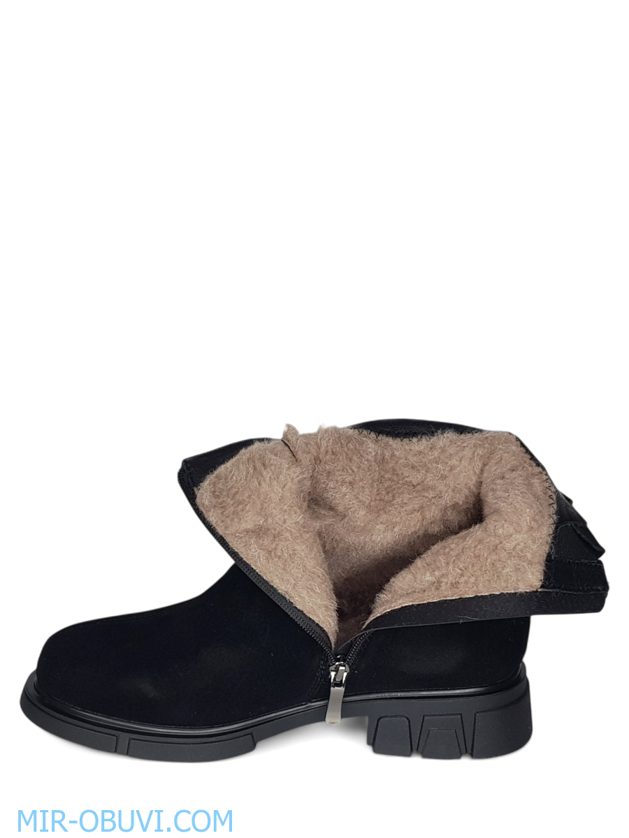 Ƴ���� ����� ���������� Wollen. ��� 13.