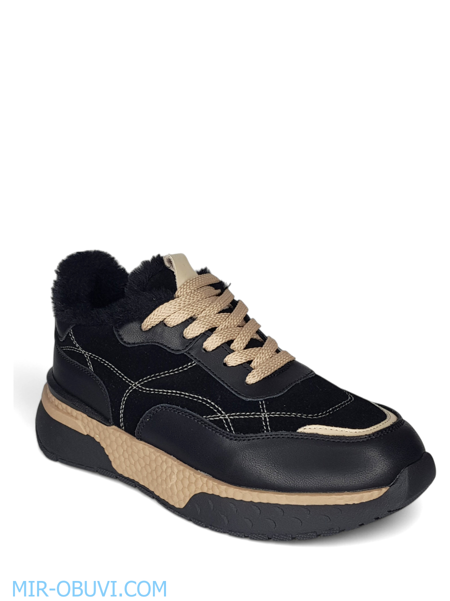 Ƴ���� ����� ������� Wollen. ��� 1.