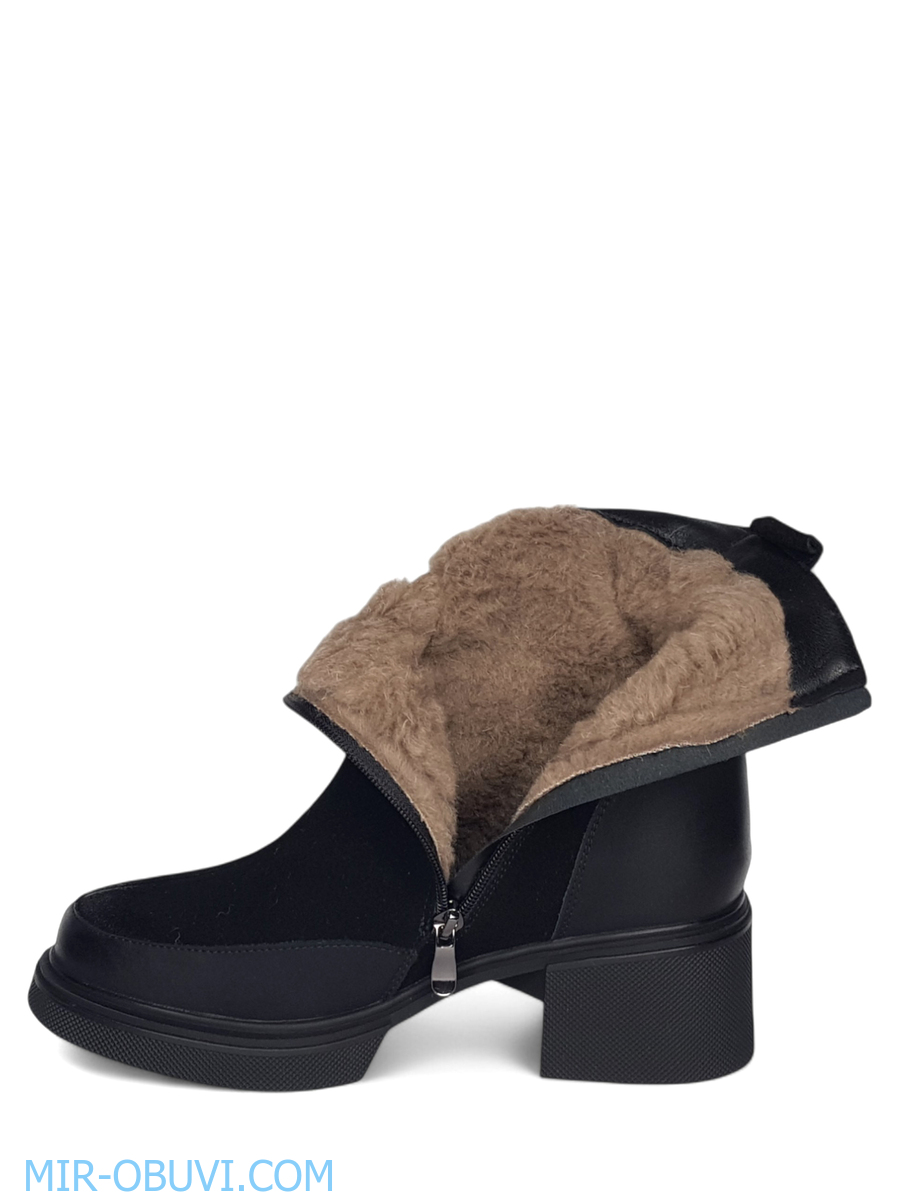 Ƴ���� ����� ���������� Wollen. ��� 12.