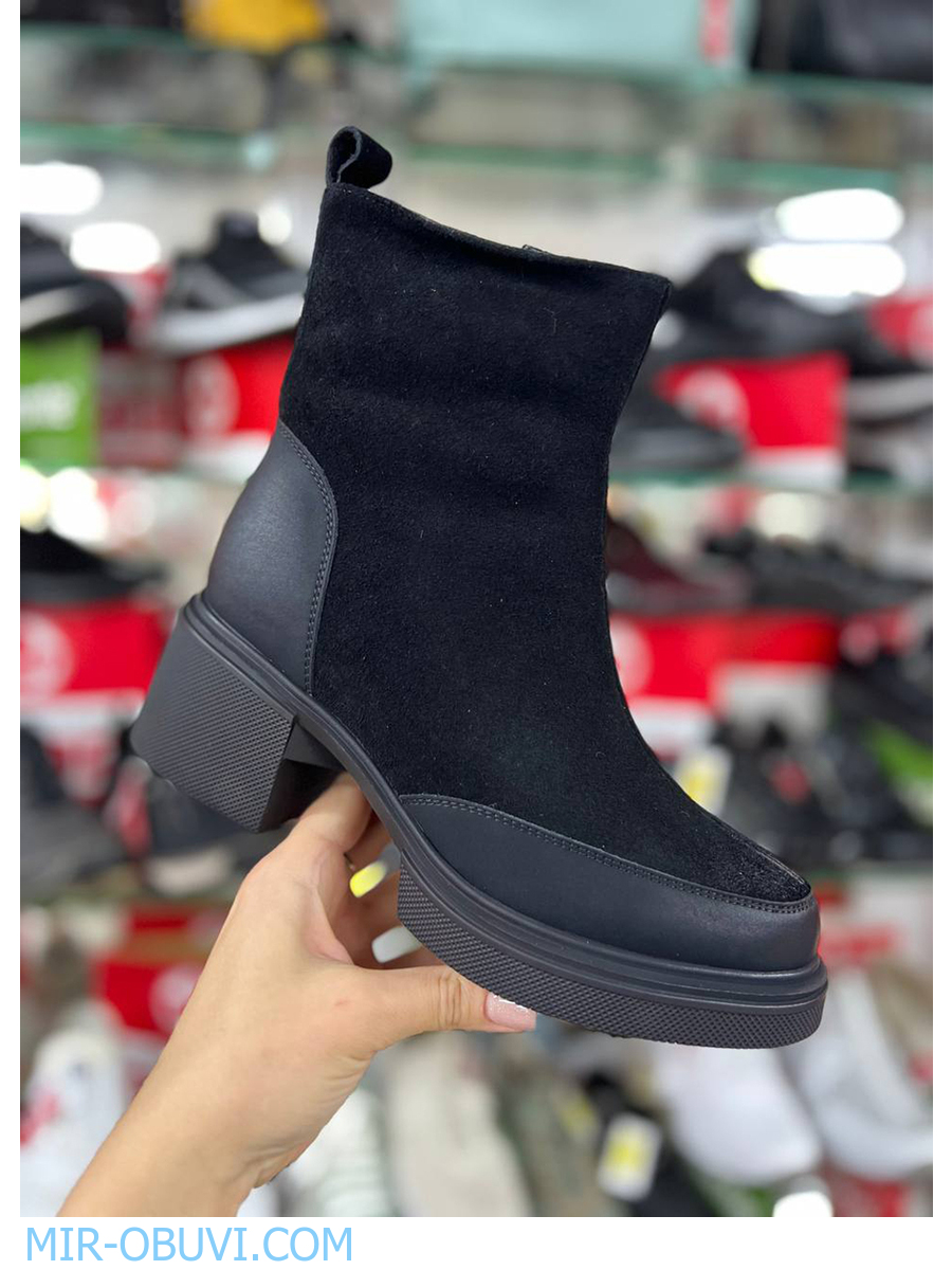 Ƴ���� ����� ���������� Wollen. ��� 16.