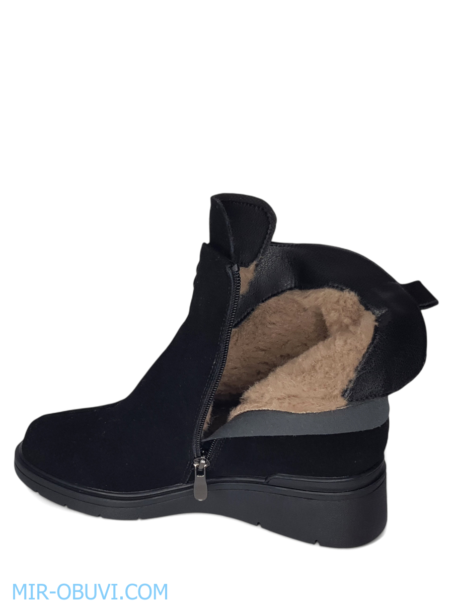 Ƴ���� ����� ���������� Wollen. ��� 13.