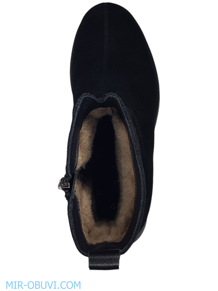 Ƴ���� ����� ���������� Wollen. ��� 6.