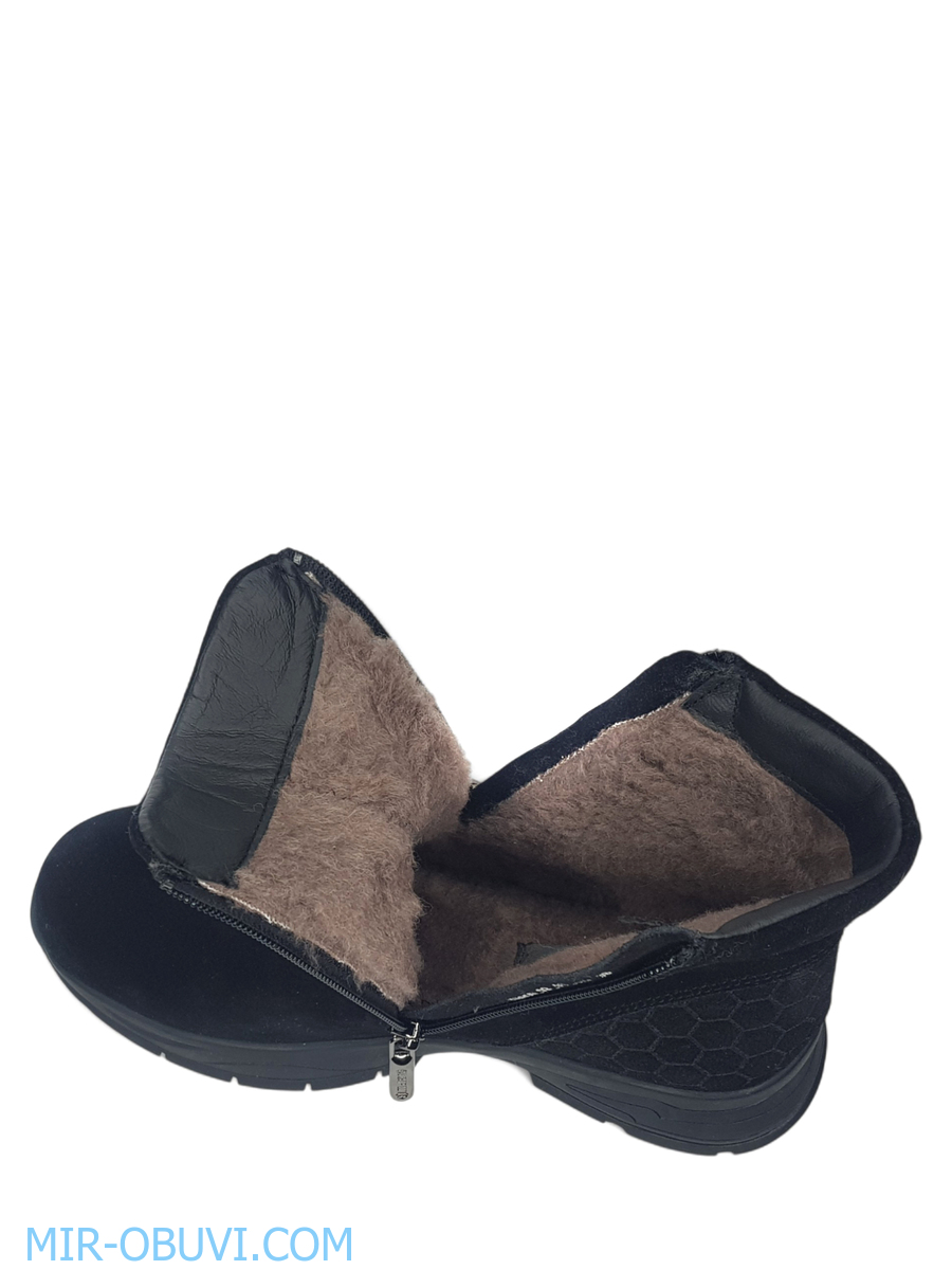 Ƴ���� ����� ����������� �������� Spur. ��� 12.