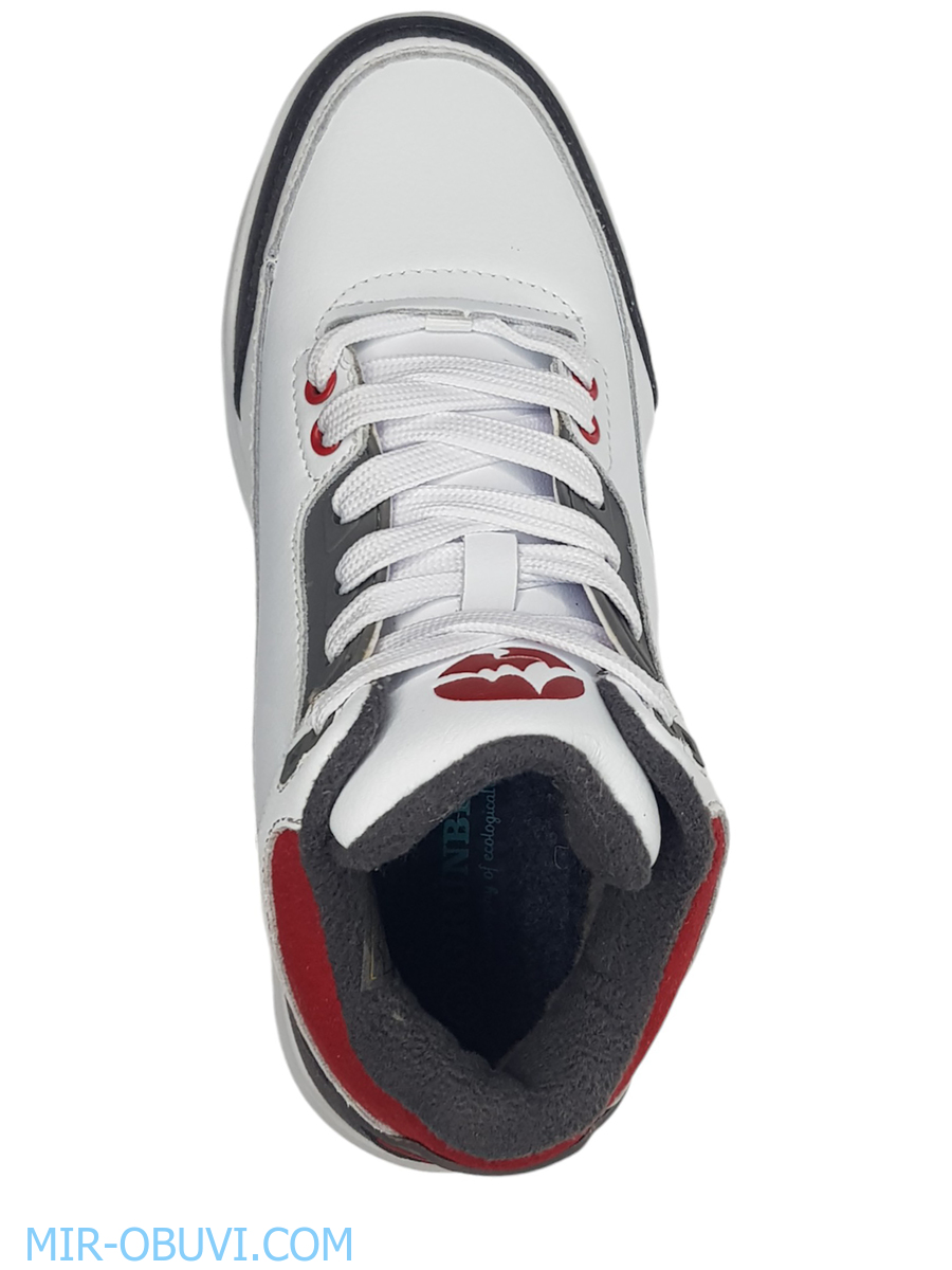 Ƴ���� ����� ������� Grunberg. ��� 6.