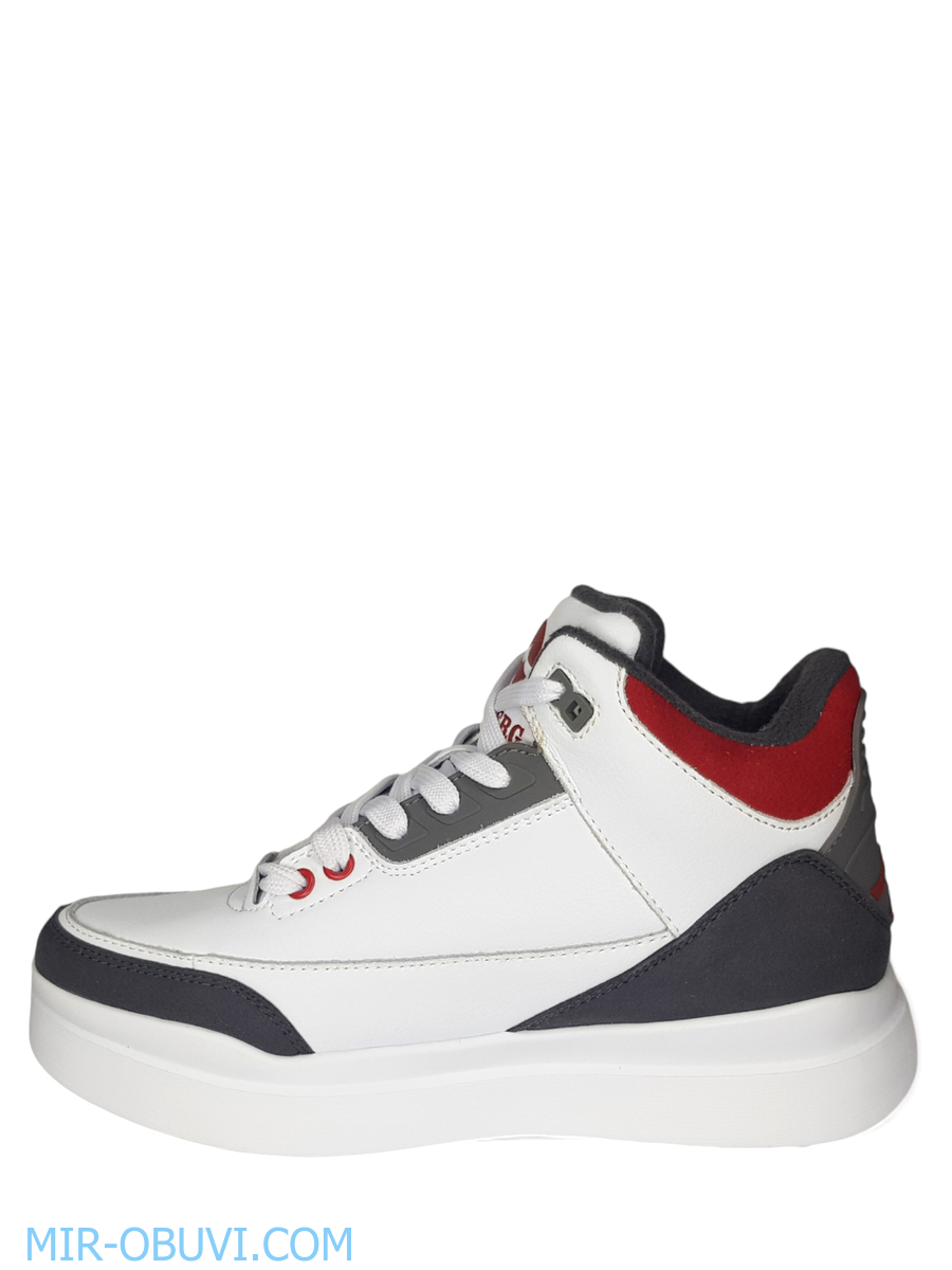 Ƴ���� ����� ������� Grunberg. ��� 8.