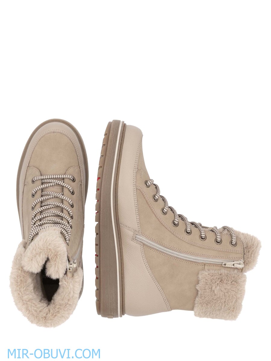 Ƴ���� ����� ����������� �������� Remonte. ��� 2.