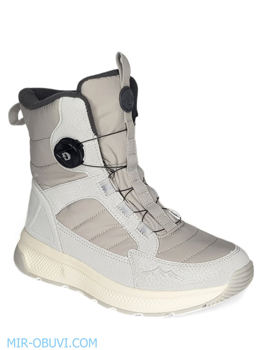 Ƴ���� ����� ��������� �������� Grunberg. ��� 11.