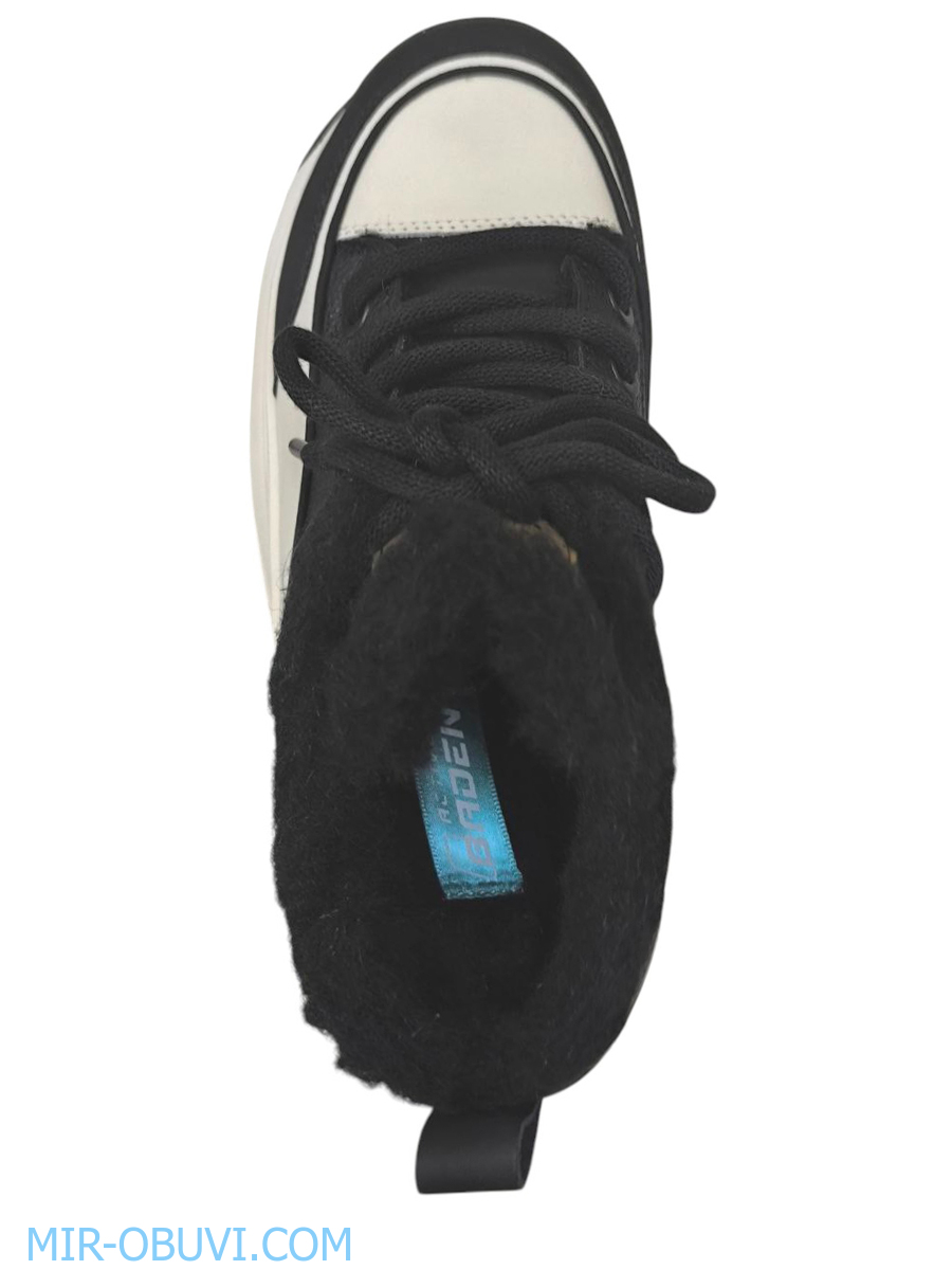 Ƴ���� ����� ���� Baden. ��� 6.