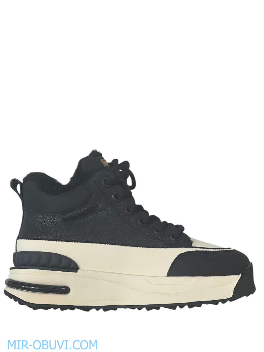 Ƴ���� ����� ���� Baden. ��� 7.