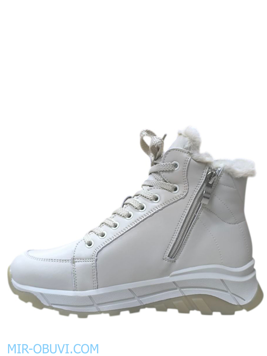 Ƴ���� ����� ��������� �������� Wollen. ��� 2.